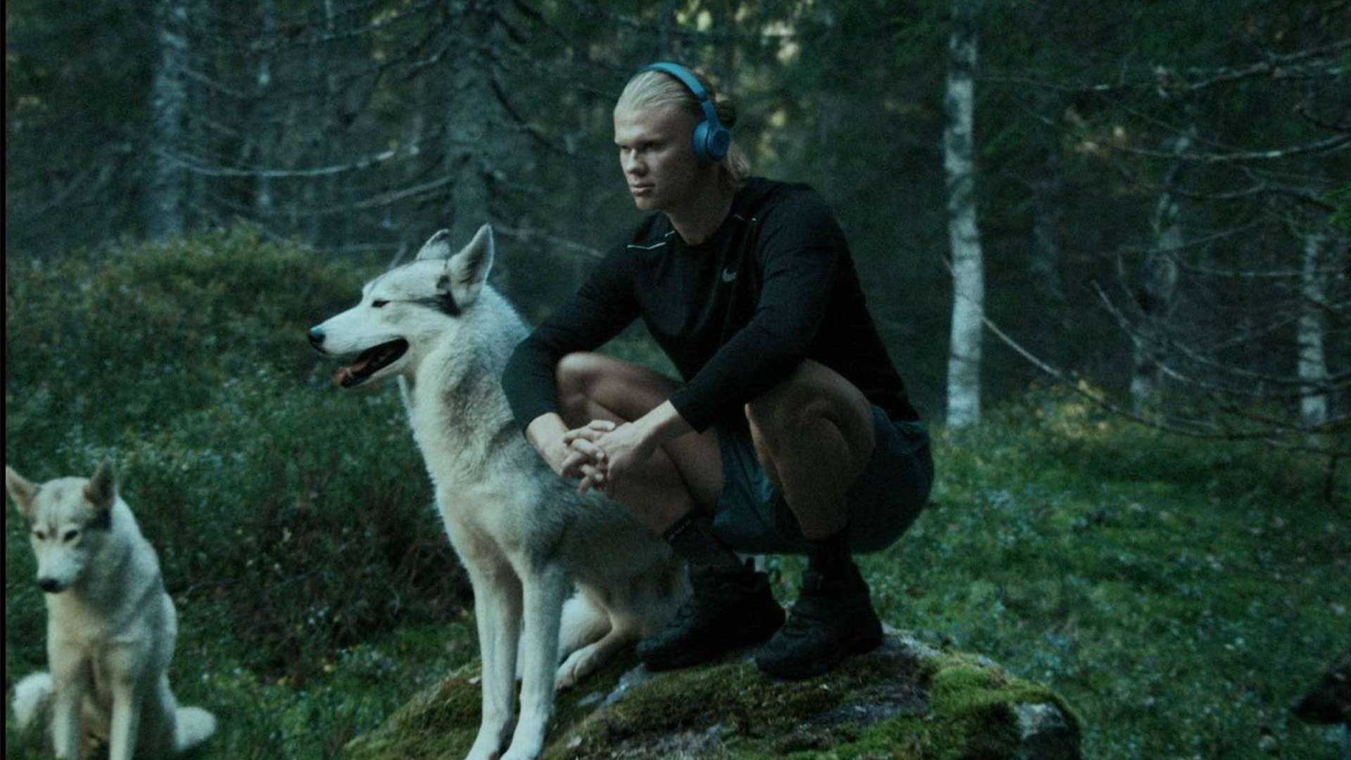 内在这一特 内在这一特