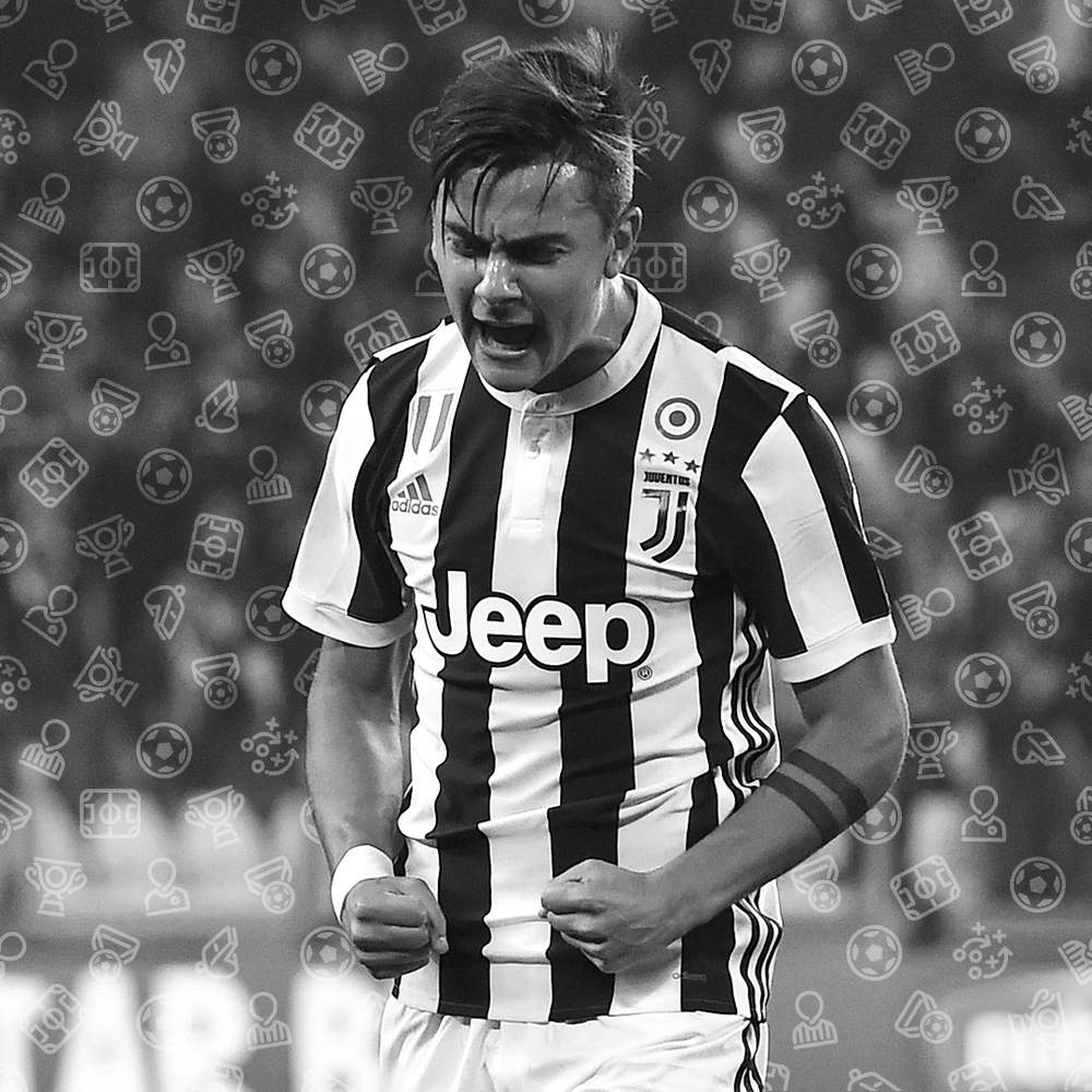 他们不仅为 他们不仅为